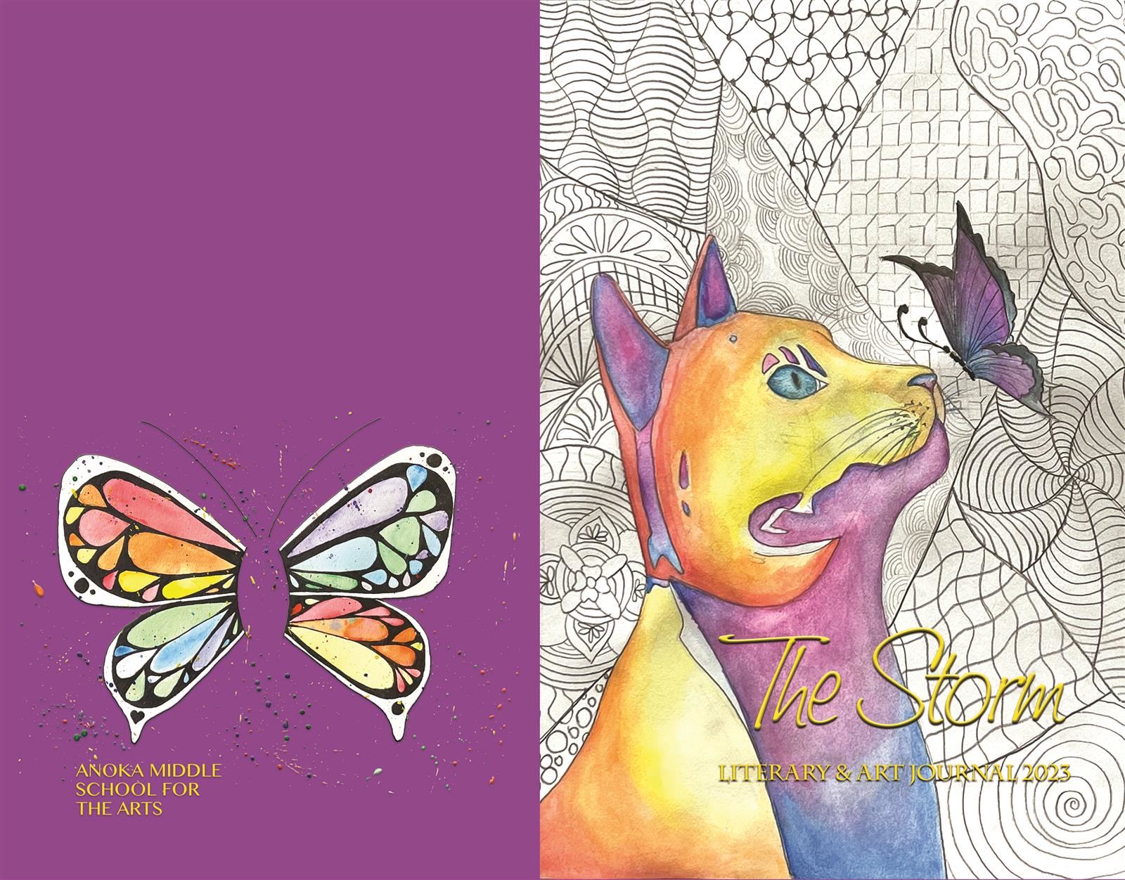 outside covers of The Storm